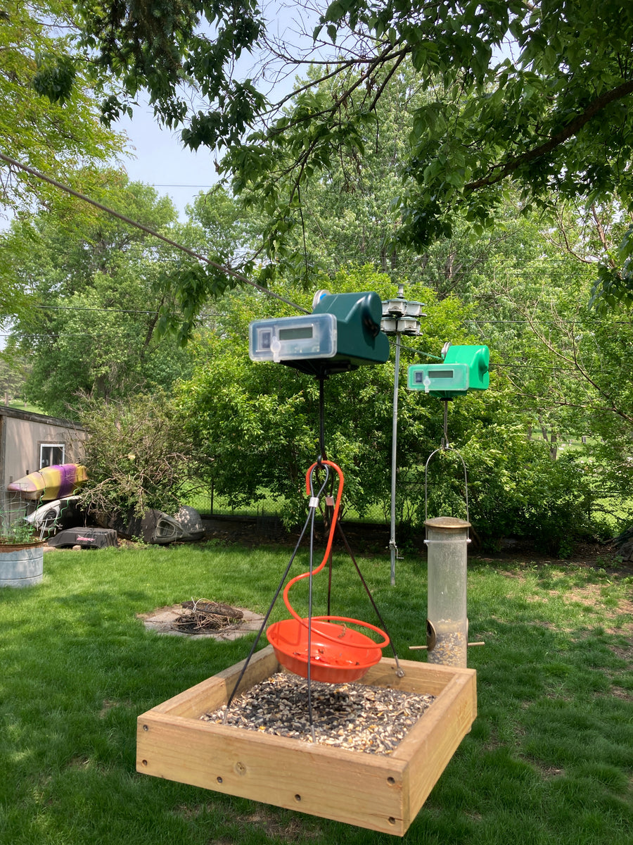 EZFeeder motorized bird feeder carrier kit in action