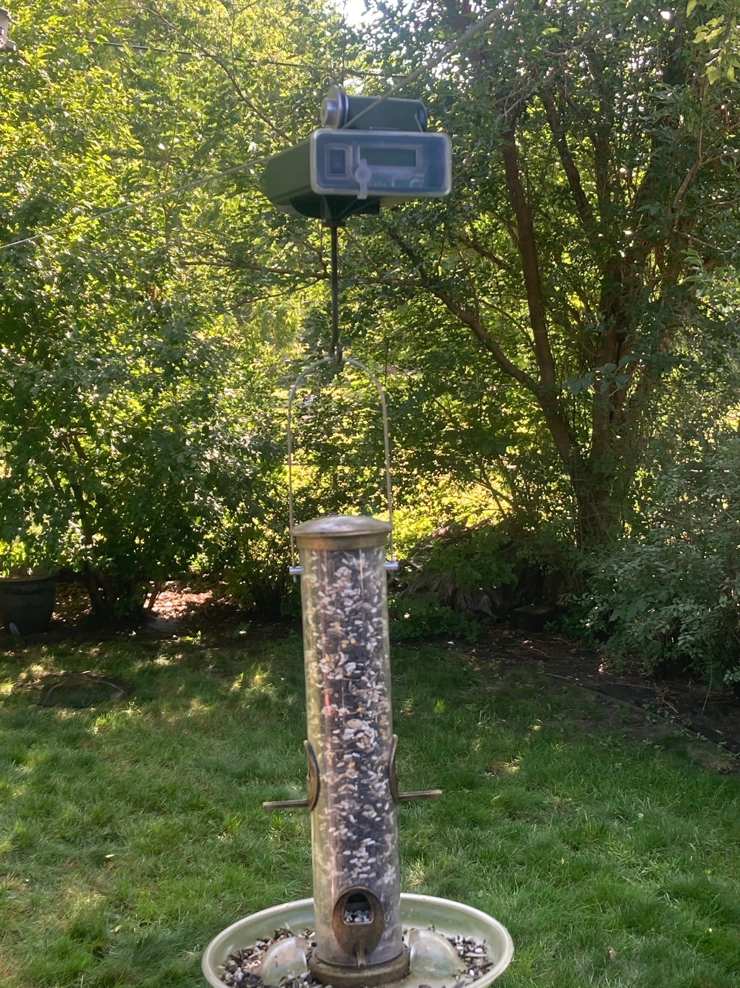 Dark Green - Bird Feeder Carrier - Bird Feeder Not Included