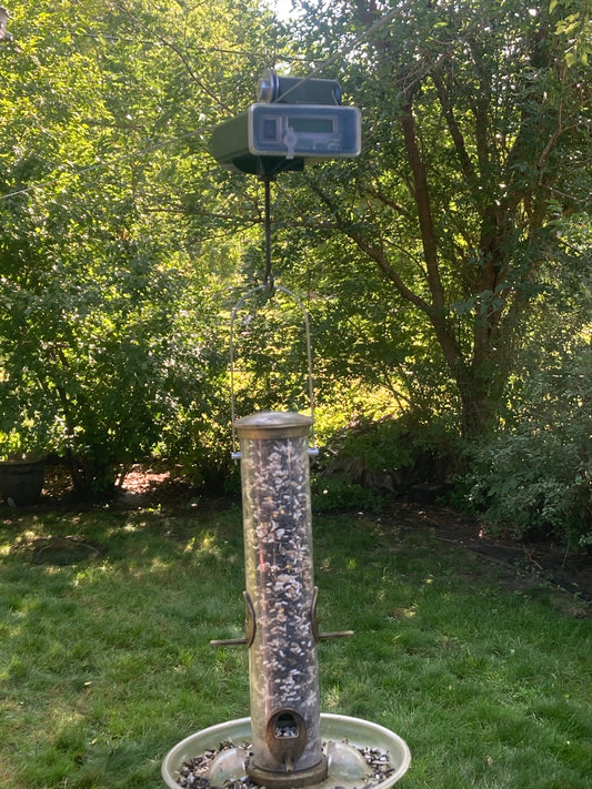 Dark Green - Bird Feeder Carrier - Bird Feeder Not Included